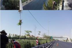 اجرای عملیات نصب نرده زیر پل های عابر پیاده در بلوار الغدیر